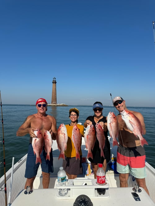 4 hour Inshore/nearshore 