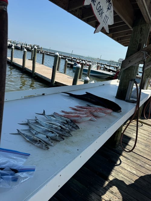 4 hour Inshore/nearshore 