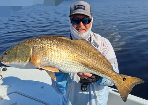 5-8 Hour Trip – Neuse River Fishing