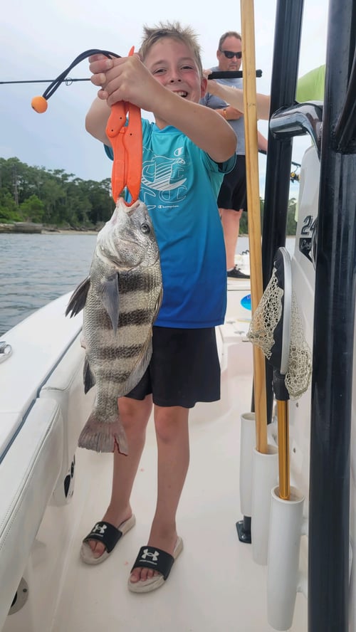 Half Day Trip – Backwater - 22 CS