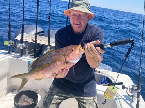 12 Hour Trip – Gulfstream