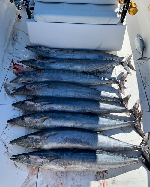 North Myrtle Beach Offshore