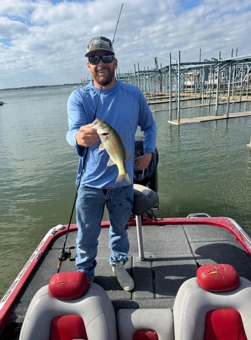 Lake Ray Hubbard Full Day Bass Trip
