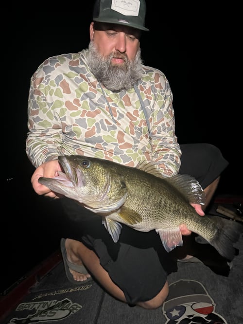 Lake fork Full Day Bass Trip