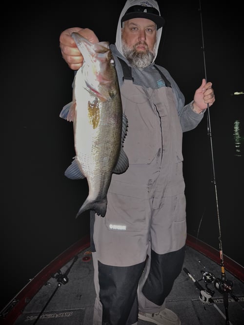 Lake Fork bass green lights trips