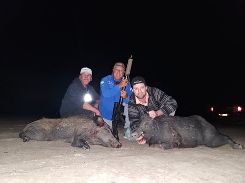 Hog Hunting By SPI