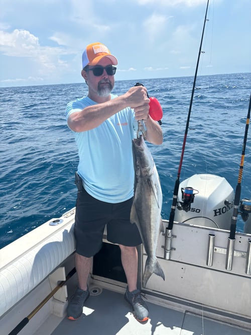 6 hour offshore