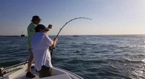 Tarpon Max Day (8hr)
