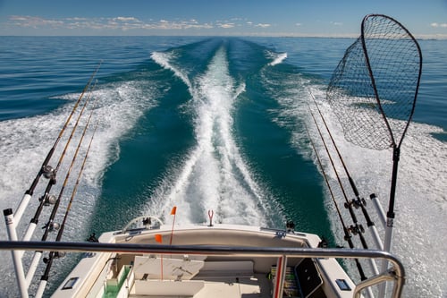 Lk. St Clair Multi-Species Trolling