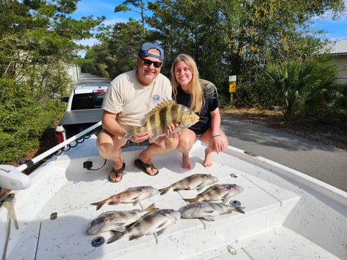 Inshore Family Fun