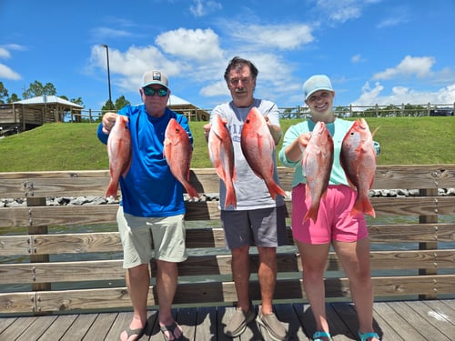 Inshore Family Fun