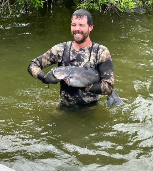 Catfish Noodling Trips