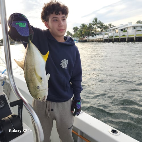 Evening Inshore Draft