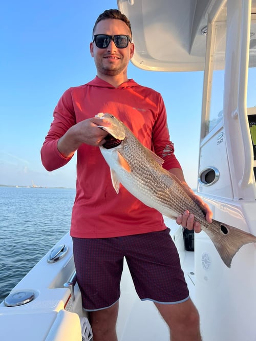 Inshore Trip