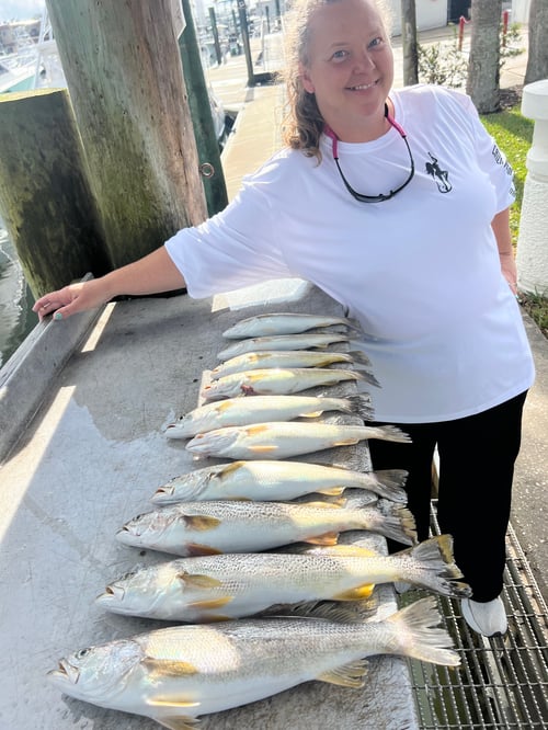 Half Day Inshore Trip