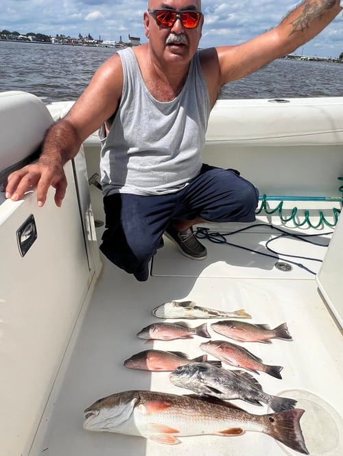 Inshore Trip
