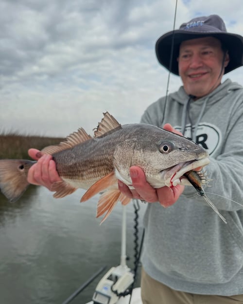 4-6 Hour Inshore Trip