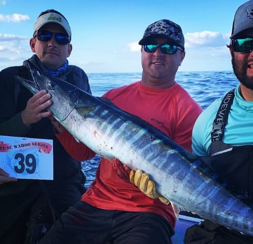 Gulf Stream Fishing Charter