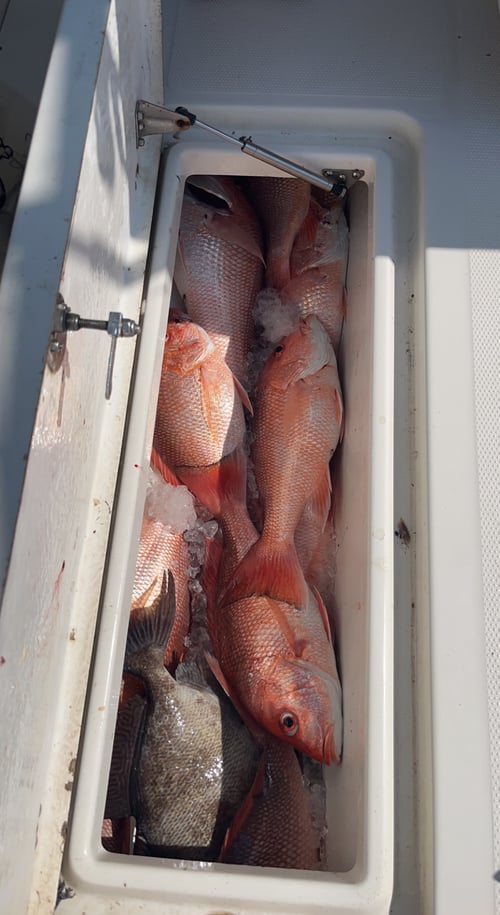 Snapper Banks Fishing Charter