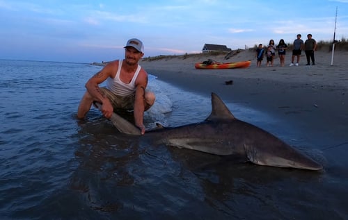 Cape May Land Based Shark Fishing