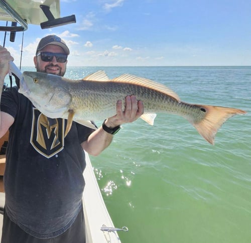 8 Hours Inshore