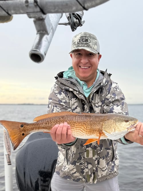 8 Hours Inshore