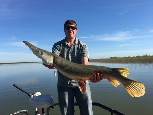 Alligator Gar Rod and Reel Trip