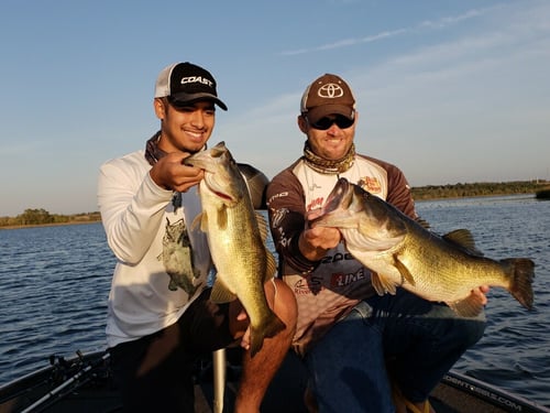 Largemouth Bass Fishing in Austin, Texas