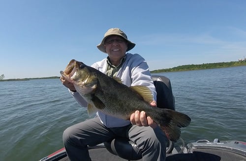 Largemouth Bass Fishing in Austin, Texas