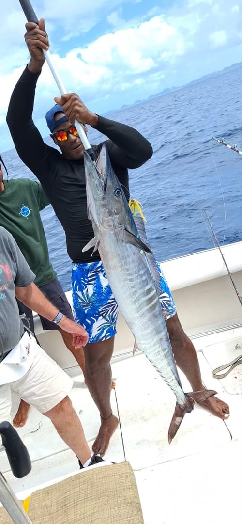 Night Fishing Charter