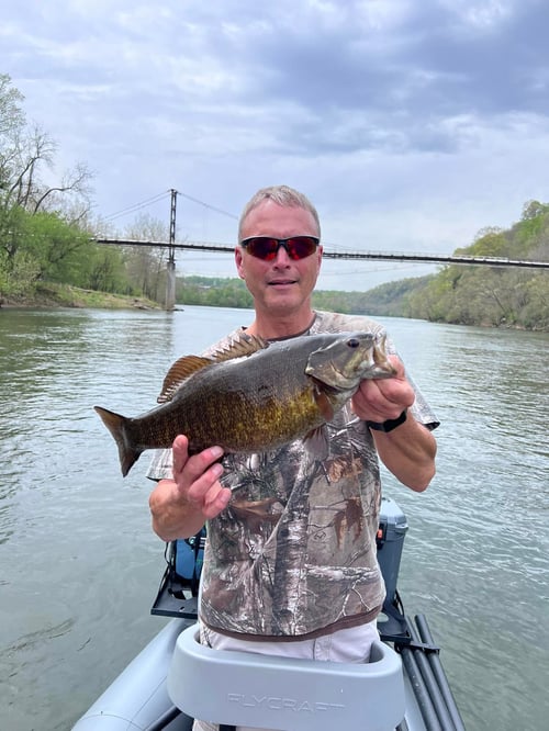 Weekend Half or Full Day Trip