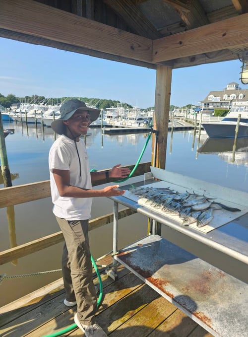 4-6 Hour Trip – Inshore