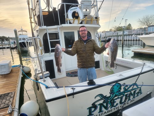 Virginia Beach Offshore Wreck Trip