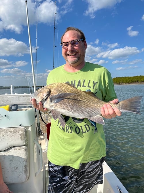 4hr Inshore fishing