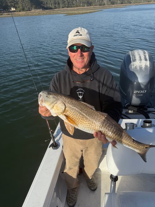 Half Day Inshore