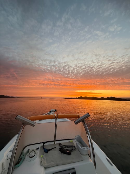 Half Day Inshore