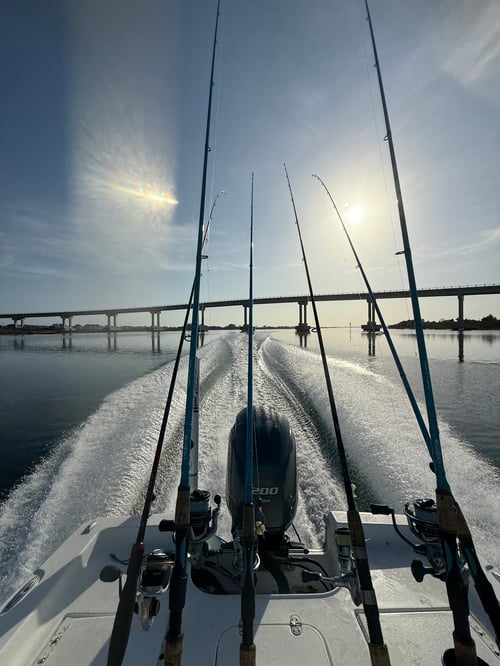 Half Day Inshore