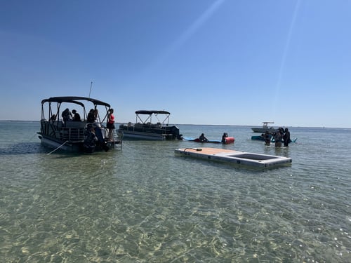Island Trip 