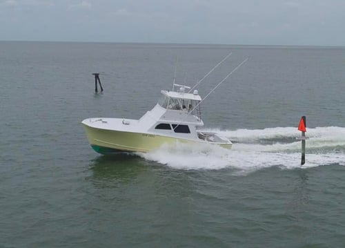 3/4 Day offshore