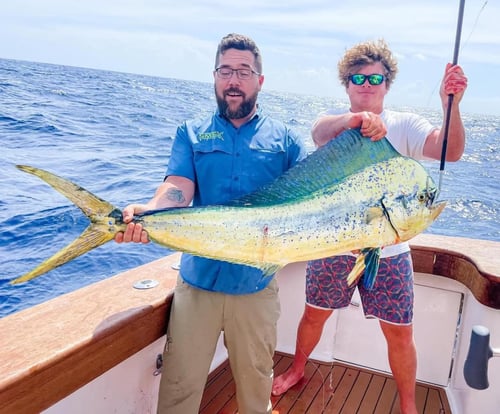 Full Day Trip – Gulfstream