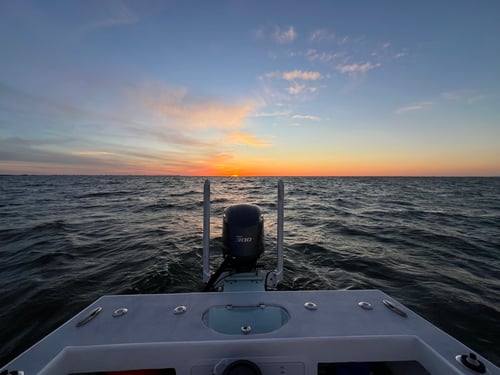 Tarpon Fishing Trip