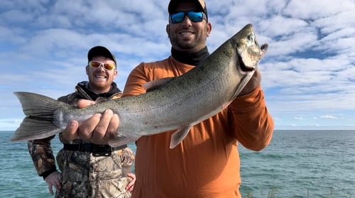 Full Day Salmon Steelhead Trout