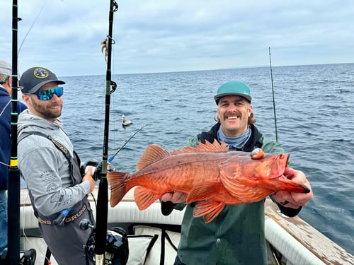 8 Hour Nearshore / Offshore Trip