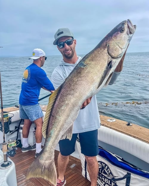 8 Hour Nearshore / Offshore Trip