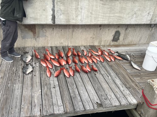 Spring Break Specials