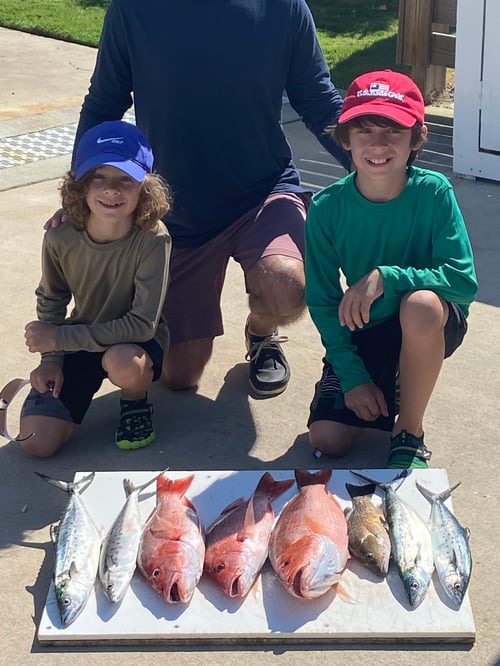 5hr snapper trip