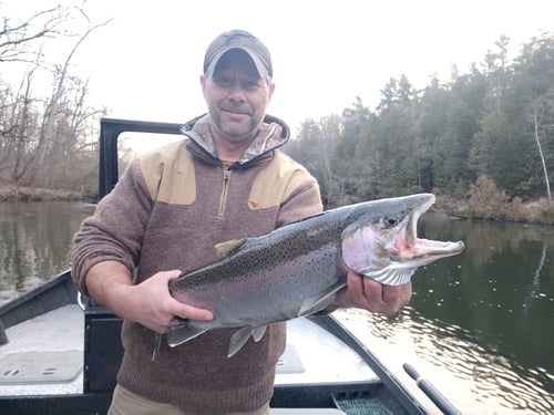 River fishing salmon or steelhead 