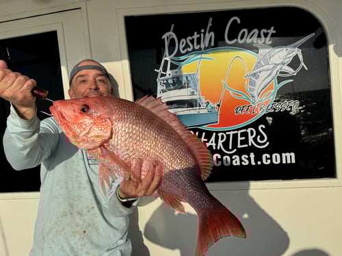 Nearshore/Offshore Trip