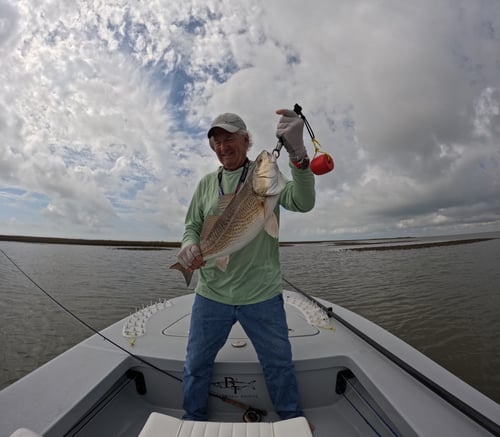 Half Day Fly Fishing Matagorda Bay