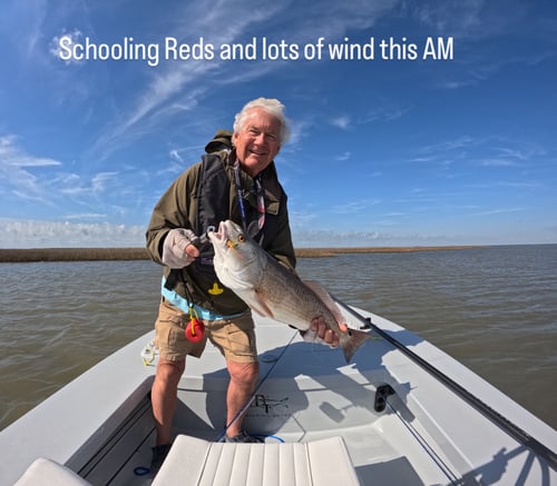 Half Day Fly Fishing Matagorda Bay